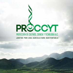 Proccyt