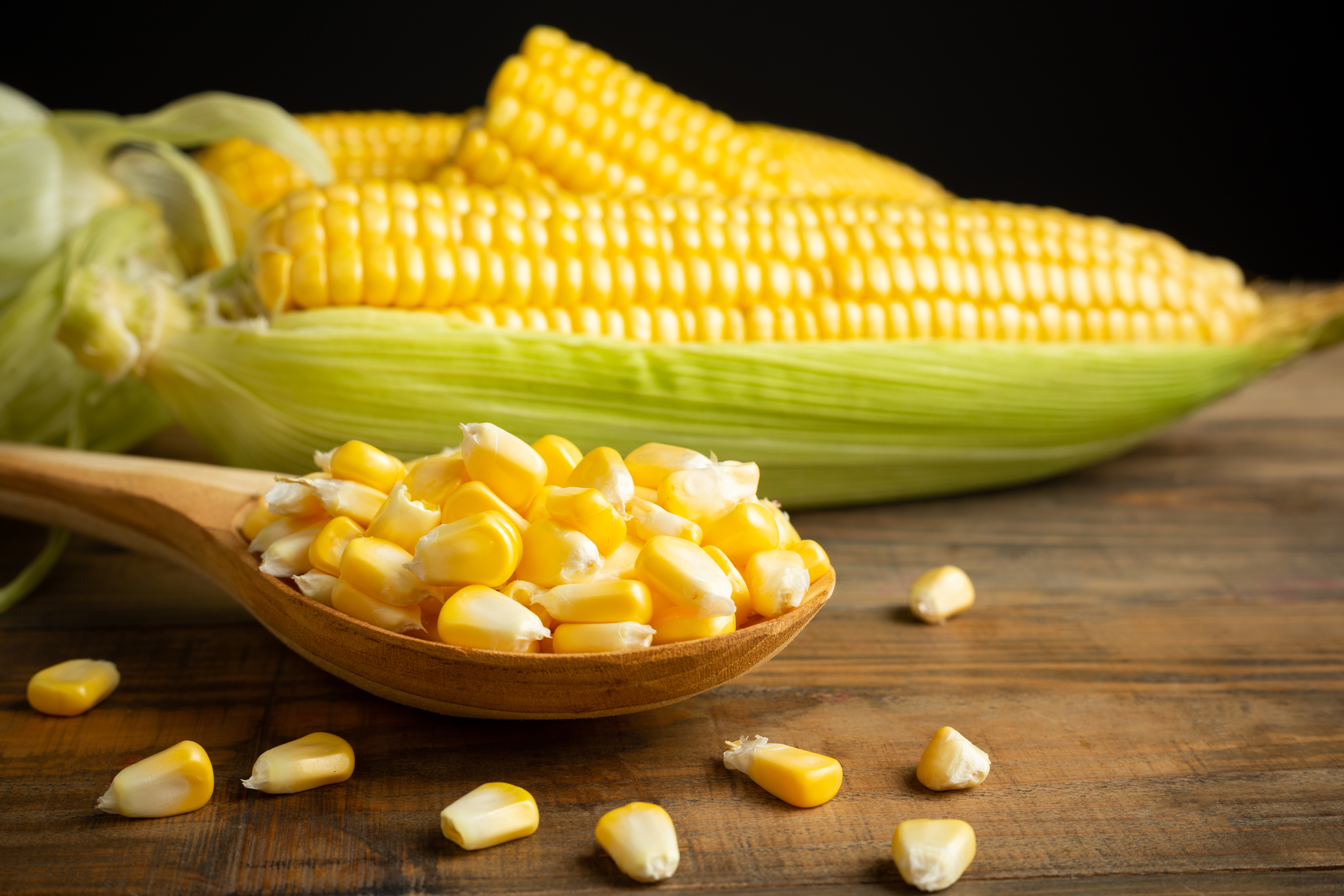 Сладость кукурузу. Кукуруза. Продукты из кукурузы. Кукуруза фото. Вареная кукуруза.